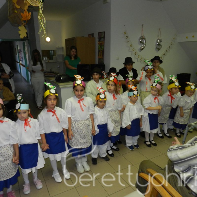 Mező Lajos bácsi 95 éves 36